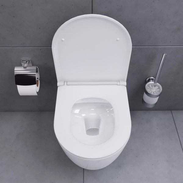 Унитаз подвесной безободковый Damixa Sirius DX86C1700SC с сиденьем микролифт белый