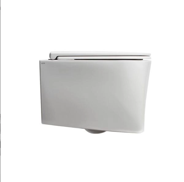 Унитаз подвесной AXA DP 8401001 NoRim безободковый