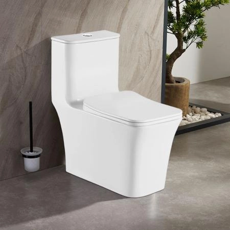 Унитаз моноблок AZARIO GRESSA 705х370х760 напольный безободковый сиденье микролифт, белый (AZ-1111)