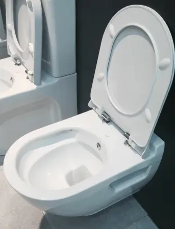 Унитаз Bien HARMONY подвесной безободковый с функцией биде сиденье микролифт HRKA052N2VP1W5000