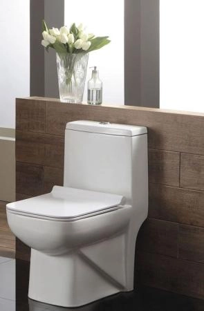 Раковины Azario Унитаз-моноблок Azario Zeno AZ-1169 с крышкой микролифт