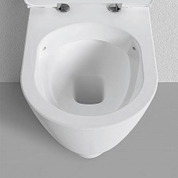 Унитаз Bien ORGANIC подвесной с сиденьем микролифт OGKA052N1VP0W3000