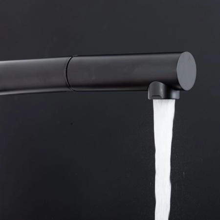 Смеситель GAPPO G4397-76 для кухни с выдвижным изливом и подключением фильтра, черный