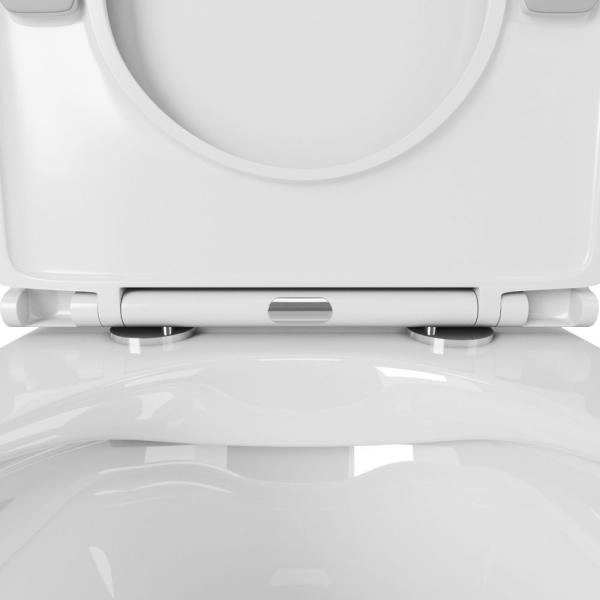 Унитаз подвесной безободковый OWL Wave Cirkel-H с сиденьем DP микролифт OWLT190801