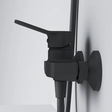 Набор для ванной комнаты AM.PM X-Joy F42885A24 2 в 1 чёрный