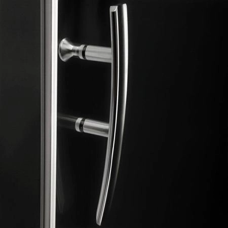 Душевая дверь Roltechnik PXD2N/1200 раздвижная 120 см стекло матовое профиль хром