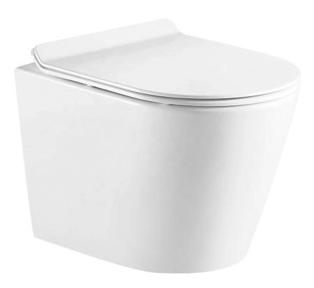 Унитазы Azario Унитаз подвесной безободковый Azario Fonti AZ-402W с крышкой микролифт