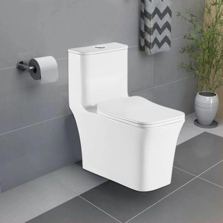 Унитаз моноблок Azario GRESSA 705х370х760 напольный безободковый  со смыв.мех. Geberit и сиденье микролифт (AZ-1111-G)