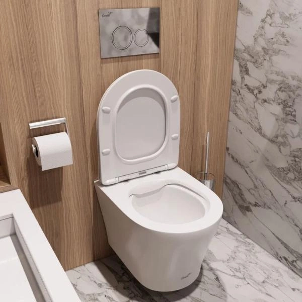 Унитаз Cerutti SPA ADIGE Aria MW подвесной безободковый белый матовый CT9245 (490х360х355)