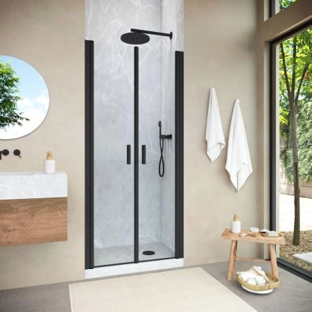 Душевая дверь Vegas-glass E2P NOVO 110 02М 01, профиль черный матовый, стекло прозрачное