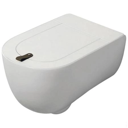 Artceram THE ONE Унитаз подвесной безободковый 52х35см, цвет: белый