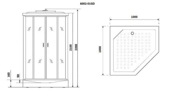 Душевая кабина Niagara Premium NG-6002-01GD (1000х1000х2200) низкий поддон(16 см) стекло ПРОЗРАЧНОЕ