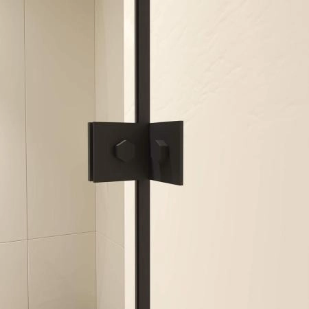 Душевой уголок RGW CL-46B Classic 100x80 Черный матовый прозрачное