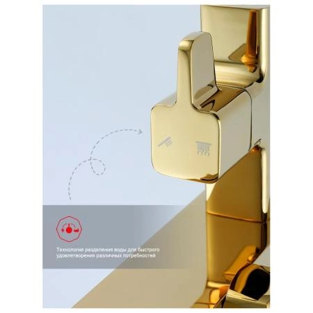 Душевая система RAGLO R02.24.23, золото
