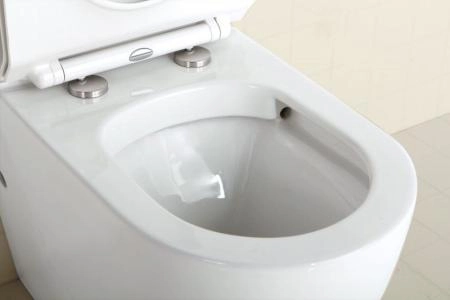 Унитаз безободковый Belbagno SFERA-R BB2141CPR напольный (бачок/сиденье отдельно)