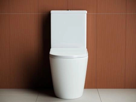 Напольный пристенный унитаз Highlight Rimless