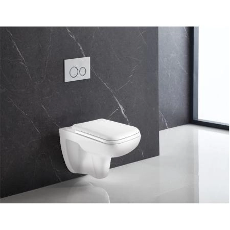 Унитазы Azario Унитаз подвесной безободковый Azario Pavia 2005 с крышкой микролифт