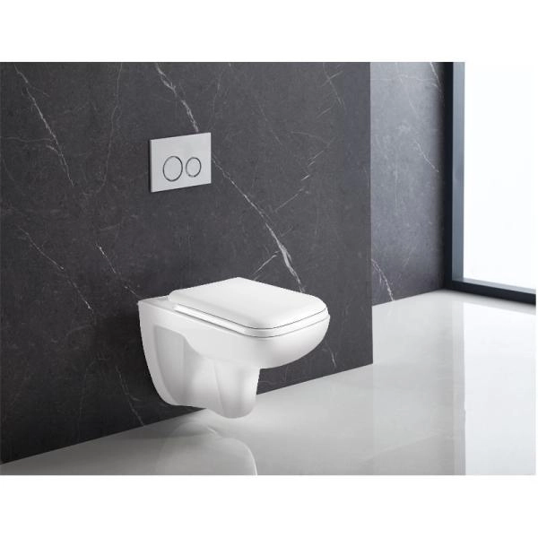 Унитазы Azario Унитаз подвесной безободковый Azario Pavia 2005 с крышкой микролифт