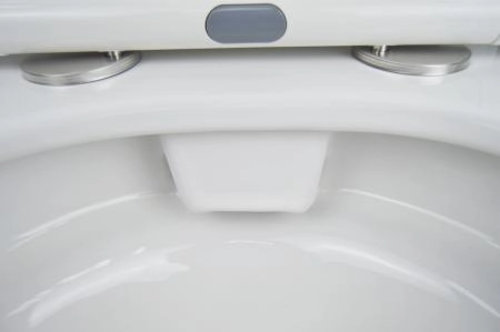 Унитаз напольный  Azario Candy 370х620х780 безободковый,  и сиденьем микролифт (AZ-1503B)