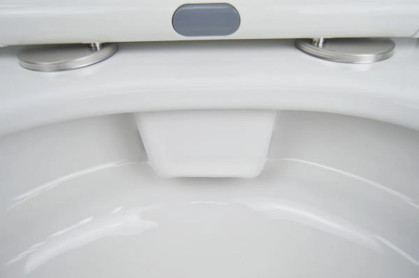 Унитаз напольный  Azario Candy 370х620х780 безободковый,  и сиденьем микролифт (AZ-1503B)