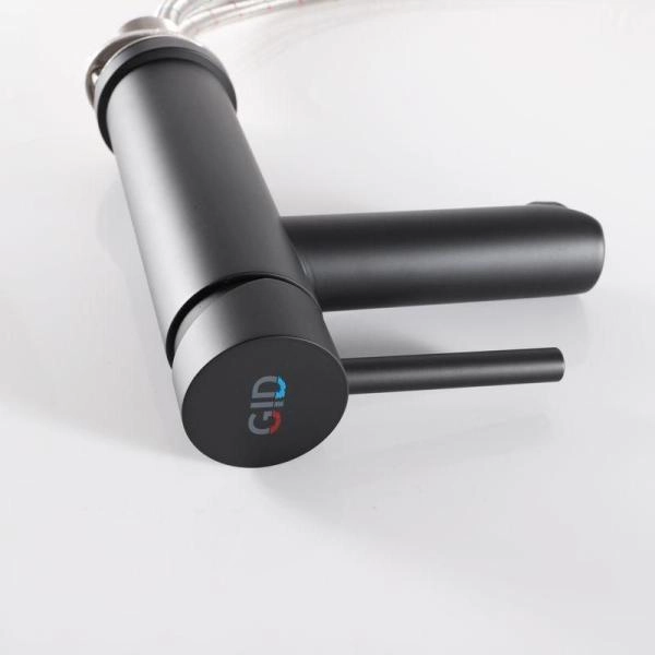 Смеситель Gid Berlin SS080-BM-K для раковины Черный матовый