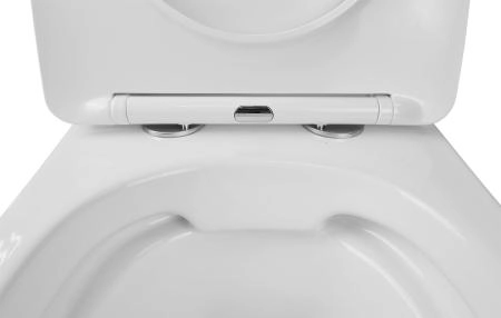 Унитазы Azario Унитаз подвесной безободковый Azario Grado AZ-0046 SP с крышкой микролифт