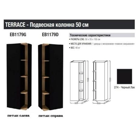 Пенал Jacob Delafon TERRACE EB1179D-274 50 см подвесной правый цвет черный