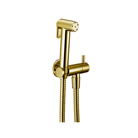 Cisal Shower Гигиенический комплект со шлангом 120 см,вывод с держателем, цвет: золото