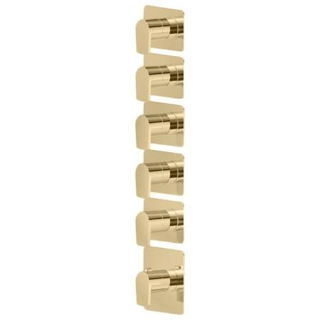 Newform Haka Смеситель для душа, термостатический, на 5 потоков, цвет: PVD brushed gold