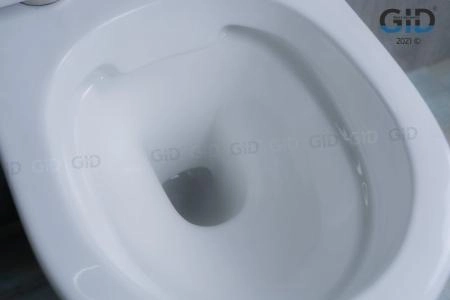 Унитаз Gid Tr2193 49 см подвесной безободковый микролифт белый