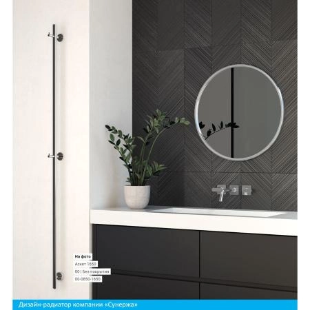 Полотенцесушитель Сунержа Аскет 50x1650 электрический