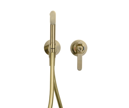 Гигиенический душ встраиваемый со смесителем 1760 ЛОФТ 3253CG золотой