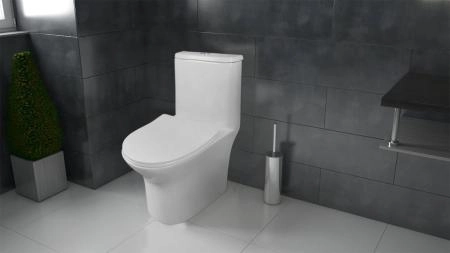 Унитаз моноблок AZARIO Sente 375х665x785 напольный, безободковый, , сиденье дюропласт микролифт (AZ-8614)
