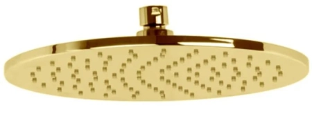Carlo Frattini Wellness верхний душ  без держателя, D 250 мм, цвет Brushed Gold
