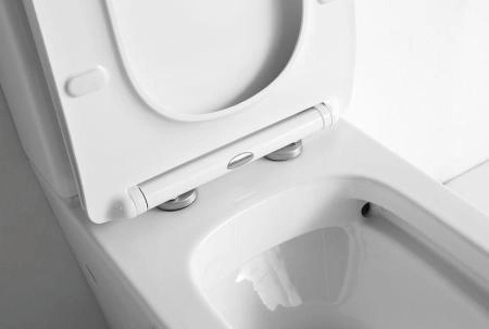 Унитаз Ceramalux 2170AXMW напольный безободковый с бачком ( GEBERIT ) сиденье микролифт белый матовый