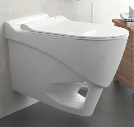 Унитаз Bien ORGANIC подвесной с сиденьем микролифт OGKA052N1VP0W3000