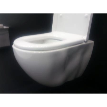 Унитаз Bien Dune безободковый подвесной DNKA052N1VP0W3000