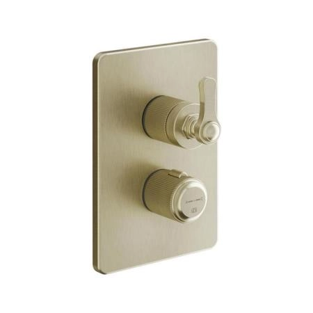 Gessi Venti20 Смеситель для душа, встраиваемый, термостатический, с переключателем на 2 положения, внешняя часть, цвет: Brushed Brass PVD