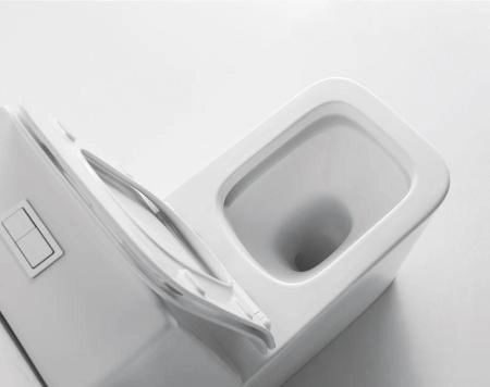 Унитаз Ceramalux 2170AXMW напольный безободковый с бачком ( GEBERIT ) сиденье микролифт белый матовый