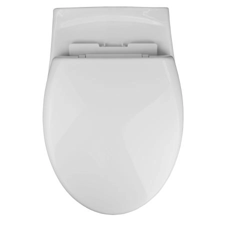 Унитаз подвесной Azario STELLA 370х400х550 безободковый, с быстросъемным сидением микролифт, белый (AZ-VT005+AZ-VT005sc)