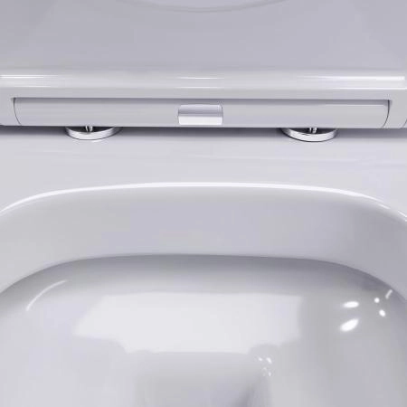 Унитаз подвесной безободковый Damixa Sirius DX86C1700SC с сиденьем микролифт белый