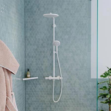 Hansgrohe AddStoris Угловая корзинка, цвет: белый матовый