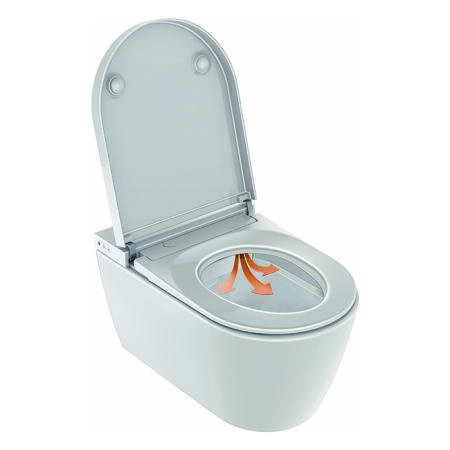 Duravit SensoWash® Starck f Plus New Крышка для унитза с пультом ду, для унитаза 2510092096, цвет: белый