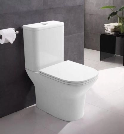 Унитаз напольный Azario Iris 380х600х775 безободковый GEBERIT, сиденье микролифт (AZ-8353 GB)