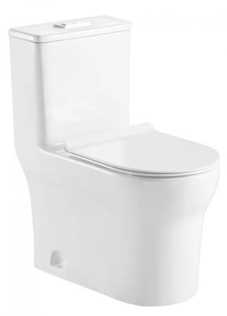 Смесители Azario Унитаз-моноблок Azario Sinto AZ-1098 с крышкой микролифт