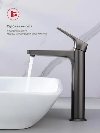 Смеситель RAGLO R07.15.09, высокий, графит