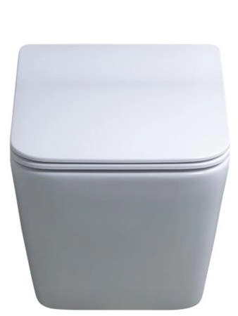 Унитаз Gid Tr2144 52 см подвесной безободковый микролифт белый