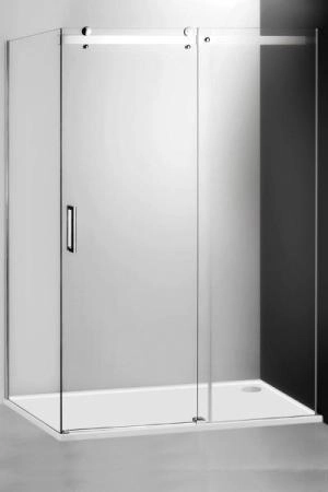 Душевая дверь Roltechnik AMD2/1200 Стеклянная двухсекционная 120 раздвижная стекло прозрачное профиль хром