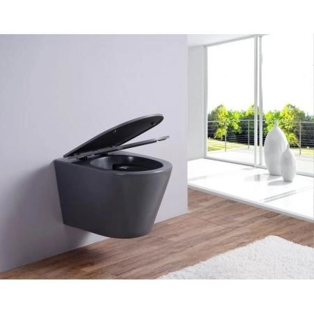 Унитаз Esbano AZALEA (Matt Grey) подвесной безободковый микролифт