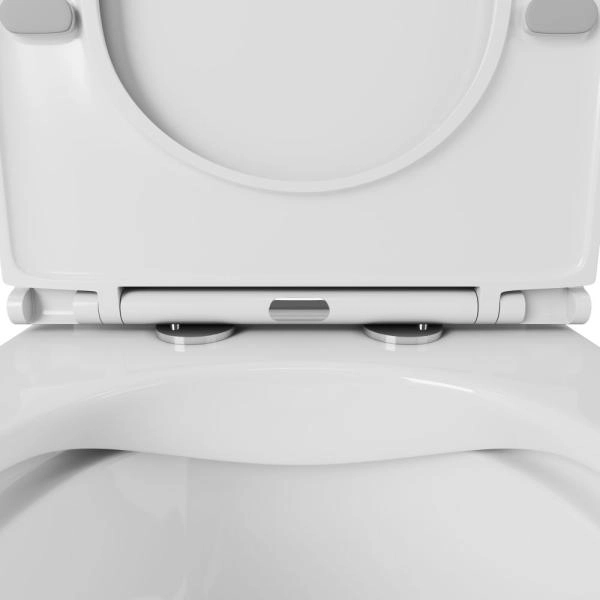 Чаша унитаза OWL Gap Ruta-G DP OWLT200901 с сиденьем микролифт  система смыва Торнадо